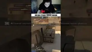 СТРИМЫ НА ТВИЧЕ - kiryushk1n 