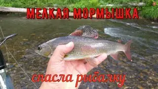 ХАРИУС НА МОРМЫШКУ (мушку) С ПОПЛАВКОМ ПО РЕЧКЕ. СПАС ОТ ПИЯВКИ???