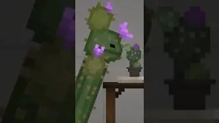 Melon Playground || Cactus Sniffing A Cactus