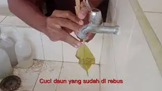 Praktek Percobaan Sachs