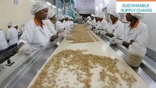 Sustainable supply chains