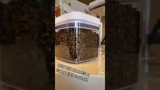 Better Homes and Gardens Food Storage Containers #shorts