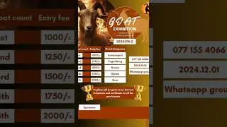 Lankan Goat Loves ✓ EXHIBITION ✓ Srilankan Goat Farm