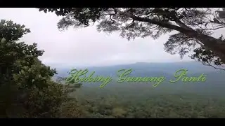 Hiking Gunung Panti, Johor  #panti #hiking #johor