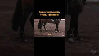 делали уступку шенкелю?🤔