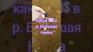 измеряем жёсткость речной воды с помощью солемера #tds #солемер #река