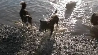 29042012270