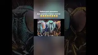 разминка