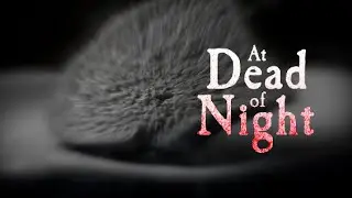 Бесперспективняк #2 [At Dead Of Night]