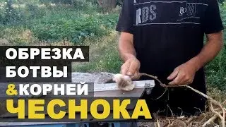 Обрезка ботвы и корней чеснока. Автоматизация в быту