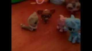 lps: team brooke or team savannah??? (for sophiegtv)