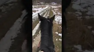 Рада и первая проездка #shorts