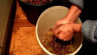 Вино из винограда Фламинго Розовый. Оператор меняет профессию