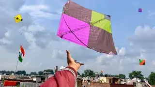 Kite looting new video | New trick to caught kite | Kite catching