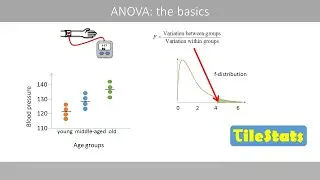 One-way ANOVA: the basics