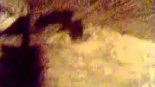 Video0013