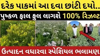 પુષ્કળ ફાલ ફુલ લગાડવા હોઈ તો આ રિઝલ્ટ વાળી દવા છાંટી દેજો | 100% રિઝલ્ટ 💥 | khedut sahay