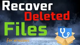 Recover Deleted Files From Any Drive | WinfrGUI 