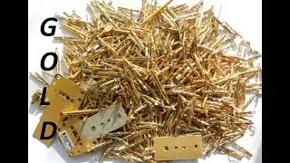 TURNING CHLAM INTO GOLD!