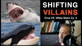 Orca VS. White Shark E3: Shifting Villains?