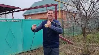 Обычный день,простые дела.