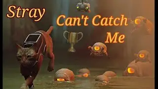 Stray Can't Catch Me Trophy