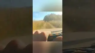 #automobile купил запорожца)