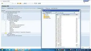 SAP TM Master Data - Class 2