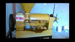 одновинтовой маслопресс