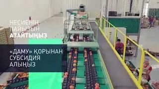 Субсидиялау