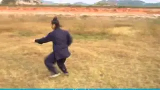 Wudang Shing-I Boxing by Master Chen Zhilin
