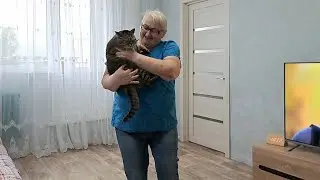 Уффф... Промотались...