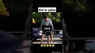 Wait for Python's turn | Programming languages meme | Coding status video |