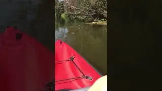 я на лодке на озере