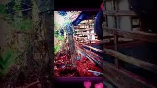 our fav hotspot in mulkunte  l apna farm 🏠house l #viralmusic  #viral #vintage #lush  #trending