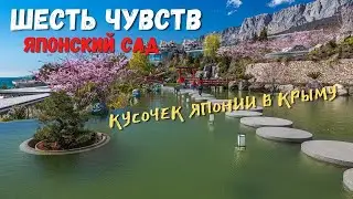 Цветение сакуры на Южном Берегу Крыма. Японский сад в самом крутом отеле Европы