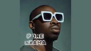 P One - Nkama (Visualizer)