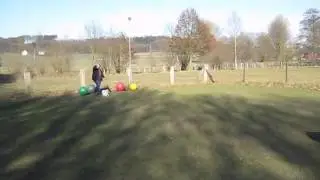 Treibball mit Momo