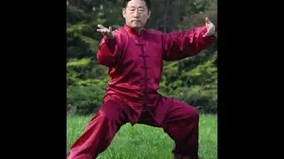 Grandmaster Chen Xiaowang Чень Сяо Ван