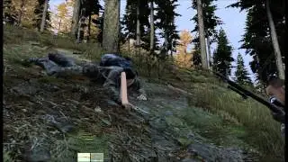 DayZ Massive Group, with other random clips.