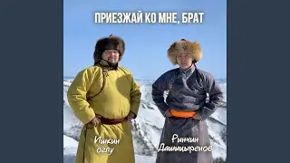 Приезжай ко мне, брат