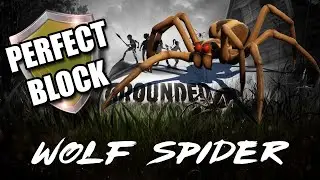 Let's PERFECT BLOCK a Wolf Spider! - Grounded