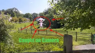 I caught Nurpo on CAMERA!📸😳☠️