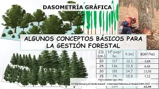 FOREST MANAGEMENT BASIC CONCEPTS