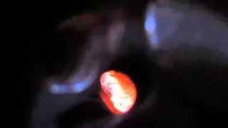 MVI 2337
