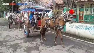 The Excitement of Traveling on a Special Delman