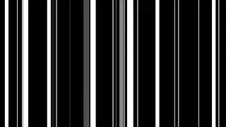 Чёрно-белые линии, штрих код видеофон,футаж / videophone, footage black and write  lines, barcode