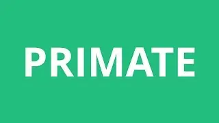 How To Pronounce Primate - Pronunciation Academy