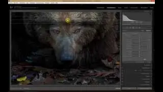 Leer Lightroom 5 deel 16 : Bewerken van een foto met een virtuele kopie. Welke is het best gelukt?