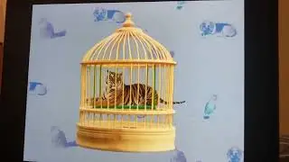 Elmo’s World Pets Quizzes 